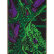 Скейтборд комплект CREATURE Octo Sk8 Completes 7.75 дюйм 2020